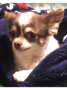 何を見つめているのだろうか？