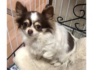 まだ食べるのか・・・