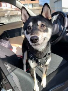 お疲れ様です。