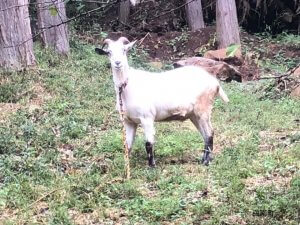 函南の山の中で・・・