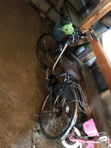 小田原のお客様へ届けました。