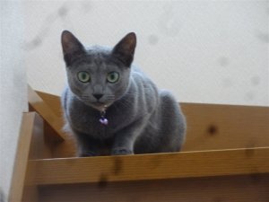 しっかり見てますよ！