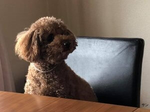 商談に参加されました。