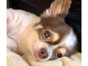 おはようございます♪