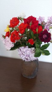 薔薇はいつもきれいですね♪