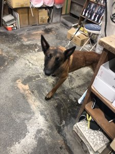 マリノアのリン♪