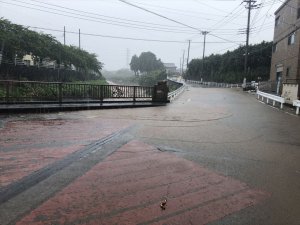 沼津市あちこちで通れなくなってました。