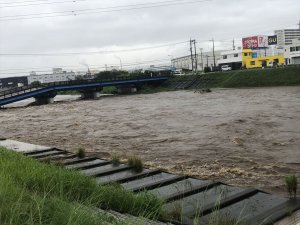 狩野川も・・・