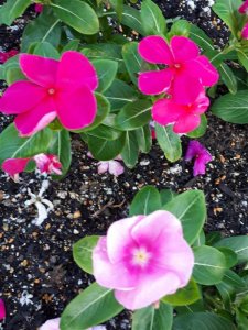 歩いていると・・・