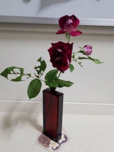 水切りした薔薇。