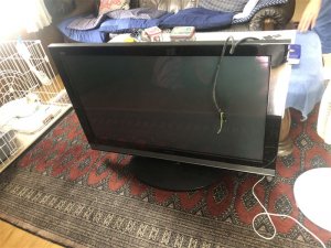 Ｗooo 50インチテレビを渡されました！