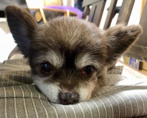 カットしたらスッキリ！