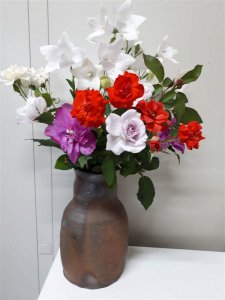 今日は薔薇たくさん！
