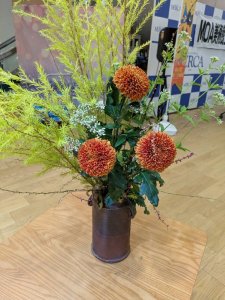 ダリア・メラレウカ・レボリューションゴールド！藤袴