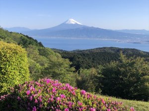 達磨山から撮影しました。