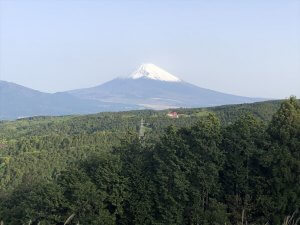 箱根途中より