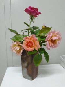 薔薇3種