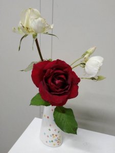 薔薇　