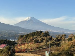 芙蓉台から見た富士山