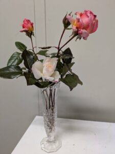 また薔薇3種